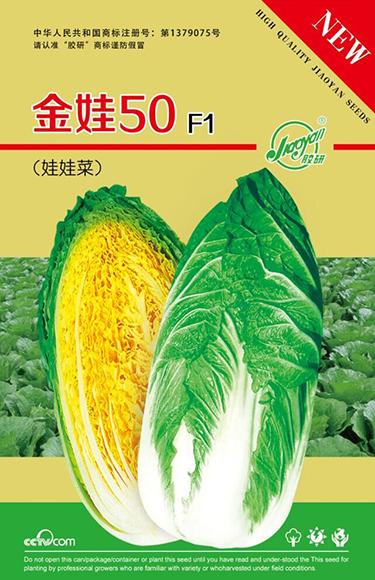 金娃50——速生小白菜